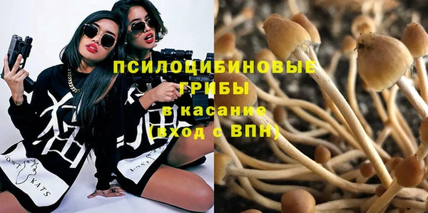 марки nbome Алексеевка