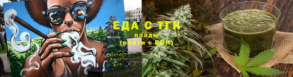 гидра Новозыбков